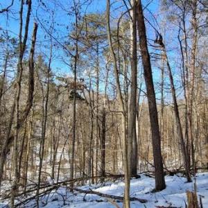 Photo #37 of CABIN BRANCH ROAD, MARSHALL, VA 3.0 acres