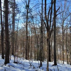 Photo #21 of CABIN BRANCH ROAD, MARSHALL, VA 3.0 acres