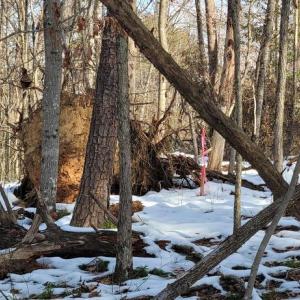 Photo #38 of CABIN BRANCH ROAD, MARSHALL, VA 3.0 acres