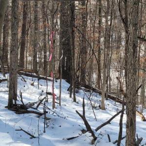 Photo #40 of CABIN BRANCH ROAD, MARSHALL, VA 3.0 acres