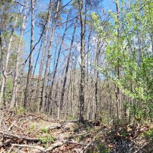 Photo #17 of CABIN BRANCH ROAD, MARSHALL, VA 3.0 acres