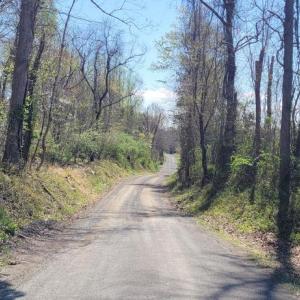 Photo #10 of CABIN BRANCH ROAD, MARSHALL, VA 3.0 acres