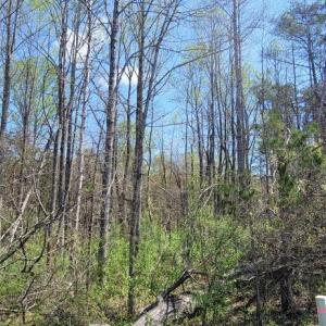 Photo #19 of CABIN BRANCH ROAD, MARSHALL, VA 3.0 acres