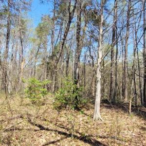 Photo #13 of CABIN BRANCH ROAD, MARSHALL, VA 3.0 acres