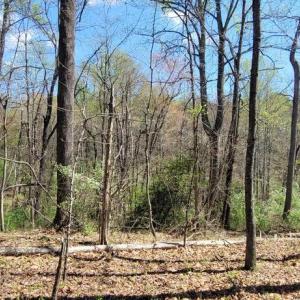 Photo #14 of CABIN BRANCH ROAD, MARSHALL, VA 3.0 acres