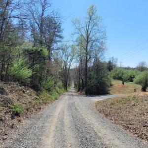 Photo #12 of CABIN BRANCH ROAD, MARSHALL, VA 3.0 acres