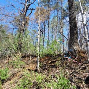 Photo #8 of CABIN BRANCH ROAD, MARSHALL, VA 3.0 acres
