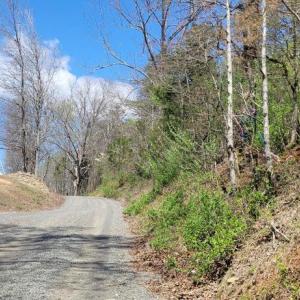 Photo #7 of CABIN BRANCH ROAD, MARSHALL, VA 3.0 acres