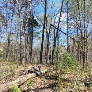 Photo #16 of CABIN BRANCH ROAD, MARSHALL, VA 3.0 acres