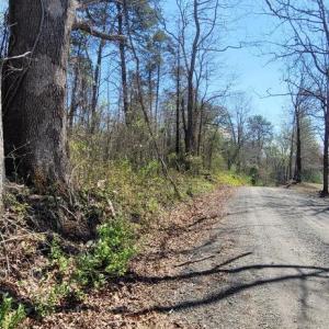 Photo #6 of CABIN BRANCH ROAD, MARSHALL, VA 3.0 acres