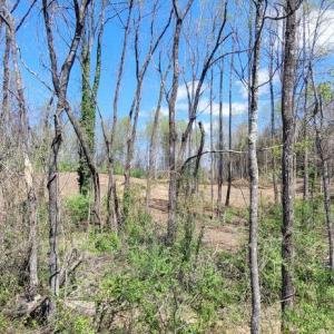Photo #49 of CABIN BRANCH ROAD, MARSHALL, VA 3.0 acres