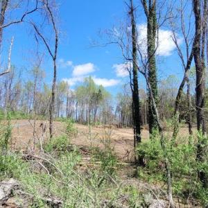 Photo #50 of CABIN BRANCH ROAD, MARSHALL, VA 3.0 acres