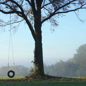 Photo #1 of SEMINOLE TRL, ROCHELLE, VA 19.6 acres