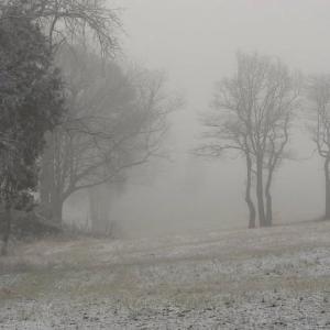 Photo #5 of SEMINOLE TRL, ROCHELLE, VA 19.6 acres