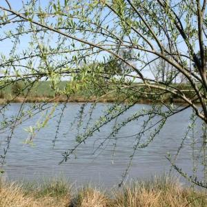 Photo #7 of SEMINOLE TRL, ROCHELLE, VA 19.6 acres