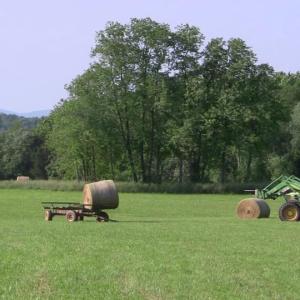 Photo #8 of SEMINOLE TRL, ROCHELLE, VA 19.6 acres
