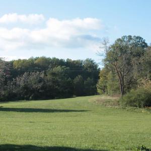 Photo #9 of SEMINOLE TRL, ROCHELLE, VA 19.6 acres
