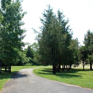 Photo #6 of SEMINOLE TRL, ROCHELLE, VA 19.6 acres