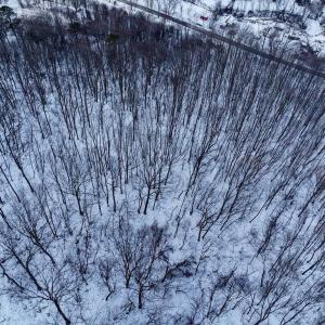 Photo #6 of CUBBAGE HOLLOW RD, LOT 75 - 40.55 ACRES, STANLEY, VA 40.6 acres