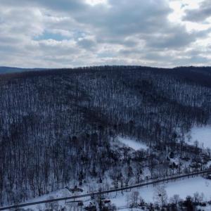 Photo #21 of CUBBAGE HOLLOW RD, LOT 75 - 40.55 ACRES, STANLEY, VA 40.6 acres