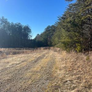 Photo #4 of 13009 LAKE ANNA VILLAGE DR, SPOTSYLVANIA, VA 23.5 acres