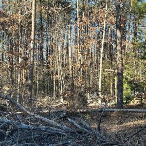 Photo #5 of 13009 LAKE ANNA VILLAGE DR, SPOTSYLVANIA, VA 23.5 acres