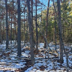 Photo #7 of 13009 LAKE ANNA VILLAGE DR, SPOTSYLVANIA, VA 23.5 acres