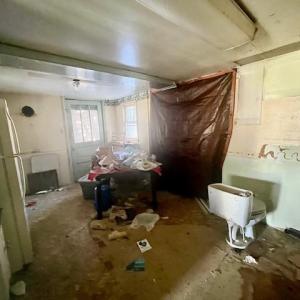 Photo #14 of 133 PAINTERS WOODS RD, LURAY, VA 5.6 acres