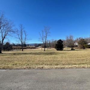 Photo #4 of 133 PAINTERS WOODS RD, LURAY, VA 5.6 acres
