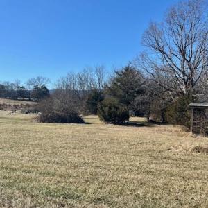 Photo #6 of 133 PAINTERS WOODS RD, LURAY, VA 5.6 acres