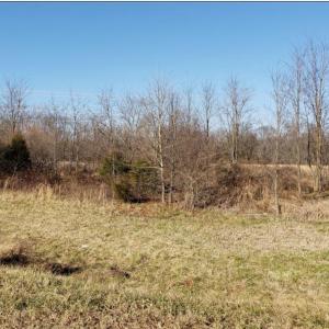 Photo #16 of CHANDLER ST, CULPEPER, VA 8.3 acres