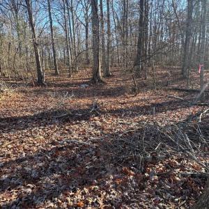 Photo #1 of COX MILL ROAD, GORDONSVILLE, VA 3.1 acres