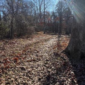 Photo #2 of COX MILL ROAD, GORDONSVILLE, VA 3.1 acres