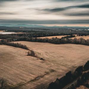 Photo #2 of ELLIS RD, LIGNUM, VA 54.2 acres