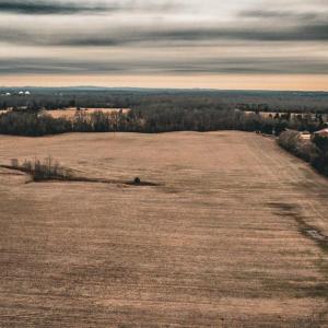 Photo #3 of ELLIS RD, LIGNUM, VA 54.2 acres