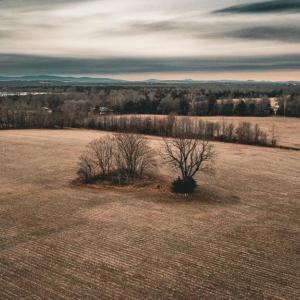 Photo #4 of ELLIS RD, LIGNUM, VA 54.2 acres