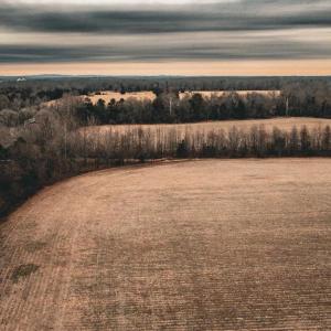 Photo #5 of ELLIS RD, LIGNUM, VA 54.2 acres