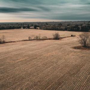 Photo #6 of ELLIS RD, LIGNUM, VA 54.2 acres