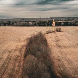 Photo #7 of ELLIS RD, LIGNUM, VA 54.2 acres