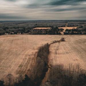 Photo #8 of ELLIS RD, LIGNUM, VA 54.2 acres