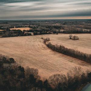 Photo #9 of ELLIS RD, LIGNUM, VA 54.2 acres
