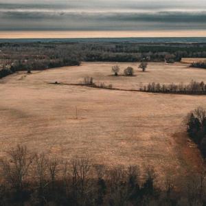 Photo #10 of ELLIS RD, LIGNUM, VA 54.2 acres