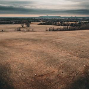 Photo #12 of ELLIS RD, LIGNUM, VA 54.2 acres
