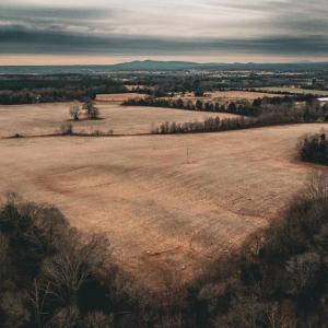 Photo #13 of ELLIS RD, LIGNUM, VA 54.2 acres