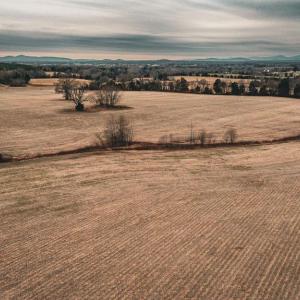 Photo #15 of ELLIS RD, LIGNUM, VA 54.2 acres