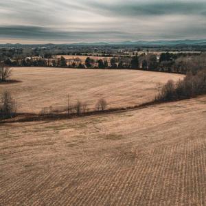 Photo #16 of ELLIS RD, LIGNUM, VA 54.2 acres