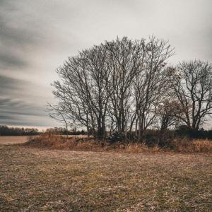 Photo #18 of ELLIS RD, LIGNUM, VA 54.2 acres