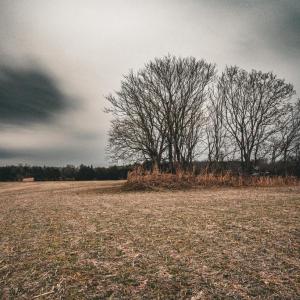 Photo #19 of ELLIS RD, LIGNUM, VA 54.2 acres