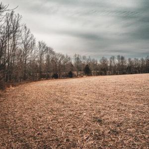 Photo #21 of ELLIS RD, LIGNUM, VA 54.2 acres
