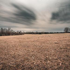 Photo #22 of ELLIS RD, LIGNUM, VA 54.2 acres